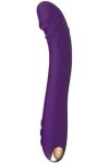 Aspiration de Clitoris Masseur en Silicone Masseur pour Se Détendr 100% Étanche USB Rechargeable