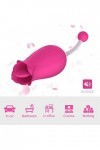 Laṇgụe Vîbrant Rose Double Mas-seur aspi-rateur vibromass-EUR Stimulateur Lang-UE clito-ridien VI-Brant Femme succsionKU268