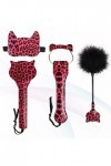 DSJ Set de 4 Accessoires de Punition pour Chat en Cuir Rouge Imprimé Léopard, À Gratter avec des Plumes