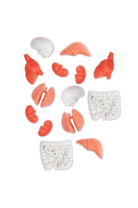 Accoutrements Itty Bitty Lot de 14 pièces de corps miniatures pour petits affichages – Pièces du corps en vinyle souple aléat