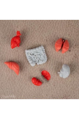 Accoutrements Itty Bitty Lot de 14 pièces de corps miniatures pour petits affichages – Pièces du corps en vinyle souple aléat