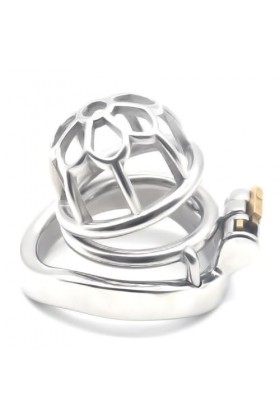 BioPlj-?îld? Áñ?l?? P?ll?-Anti-Chute en Acier Inoxydable Grand Teint,50mm D1061