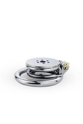 BioPlj-?îld? Áñ?l?? P?ll?-Acier Inoxydable résistant aux Petites Chutes Facile à Porter,40mm D671