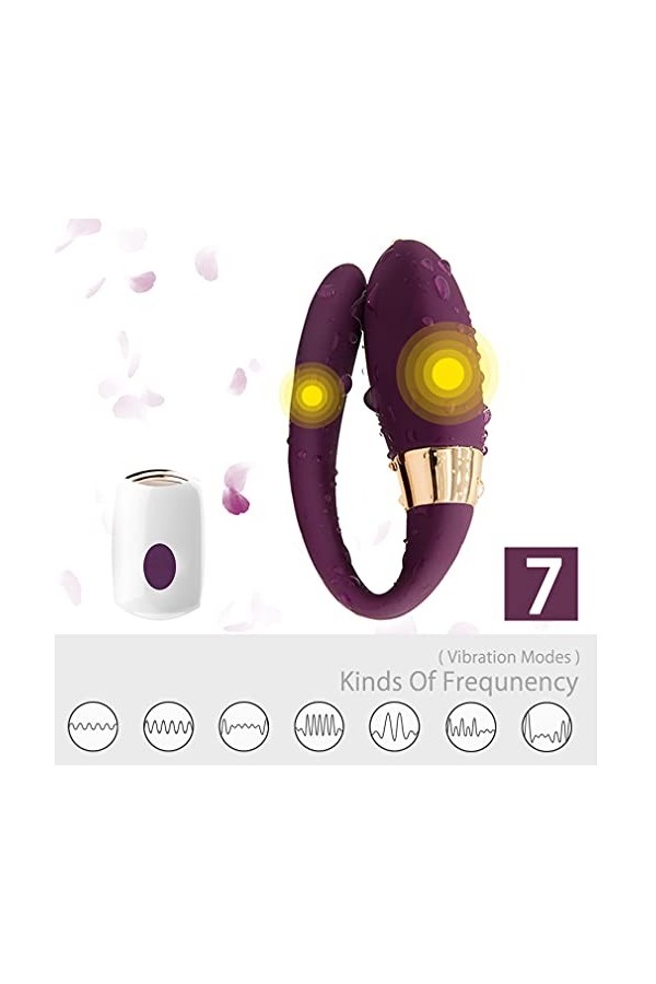 DSJ Culotte Vībròmäsśeur Telecommande Suceur Clitoridien Stimulateur Ṿibro-Masseur Clitoridien Suceur Clitoridien Ṿibreur Fen