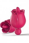 Vibrateur Langue Masseur portable en silicone,Vibromasseur fleur de rosedes daspiration,100% étanche,chargehommest USB magné