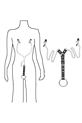 Clips métalliques en Acier Inoxydable avec Anneau, Le Cadeau Parfait pour Les Hommes