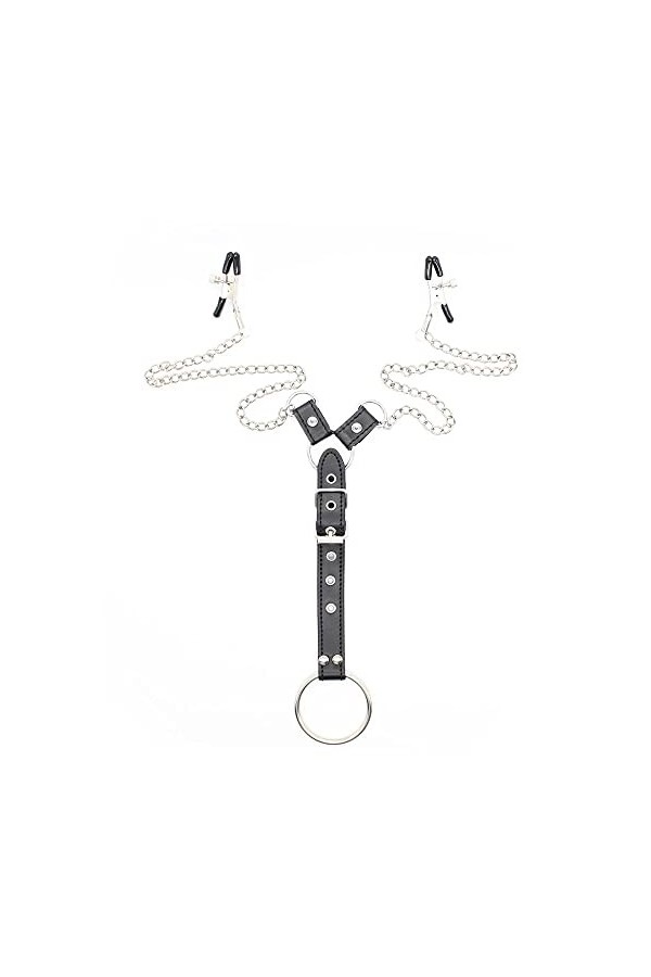 Clips métalliques en Acier Inoxydable avec Anneau, Le Cadeau Parfait pour Les Hommes