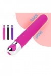 Vibreur Vibromasseur Clitoris et point G mamelon vibrer balle vibrant orgasme vagin gode 10 vitesses Pour voyage adulte balle
