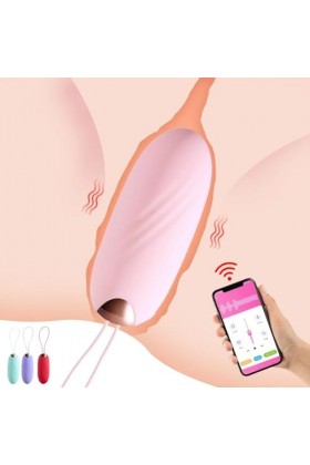 Oeuf vibrant Vibromasseur Recharge USB Pour femmes 20 vitesses masturbateur vibrant oeuf App télécommande vibrateurs jouets s