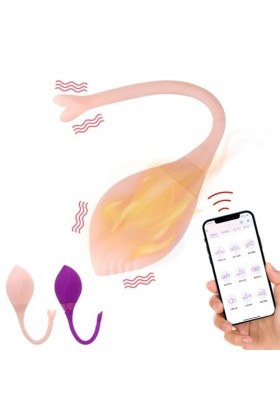 Oeuf vibrant Vibromasseur portable Machine sexuelle oeuf vibrant fort 9 Modes jouets sexuels Pour femmes masturbateur APP con