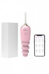 Oeuf vibrant Vibrateurs télécommandés avec application Pour pour femmes, masturbateur point G, boule, Plug Anal, œuf vibrant,