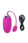 Oeuf vibrant Puissant Bullet Vibrateur APP Télécommande Oeuf Vibrant Vibrateur Balle 12 Vitesses Sex Toys Pour Femmes Adulte 