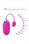Oeuf vibrant Puissant Bullet Vibrateur APP Télécommande Oeuf Vibrant Vibrateur Balle 12 Vitesses Sex Toys Pour Femmes Adulte 