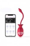 Oeuf vibrant Vibrateurs doeufs rotatifs à 360 degrés APP gode vibrateur masturbateur balles G Spot vibrateur Couples jouets 