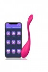 Oeuf vibrant Pour – vibrateur dœuf vibrant pour femmes, contrôle par application, culotte portable, masturbateur point G, go