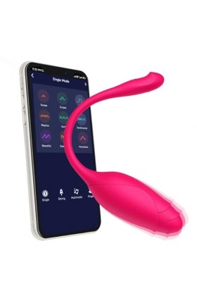 Oeuf vibrant Jouet sexuel adulte G Spot gode vibrateur Pour femmes APP télécommande porter oeuf vibrant masturbateur culotte 