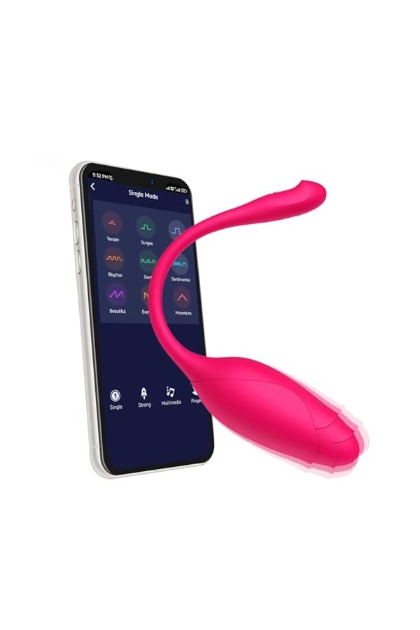 Oeuf vibrant Jouet sexuel adulte G Spot gode vibrateur Pour femmes APP télécommande porter oeuf vibrant masturbateur culotte 