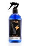 Vivishine Spray brillance de qualité supérieure pour vêtements en latex 250 ml