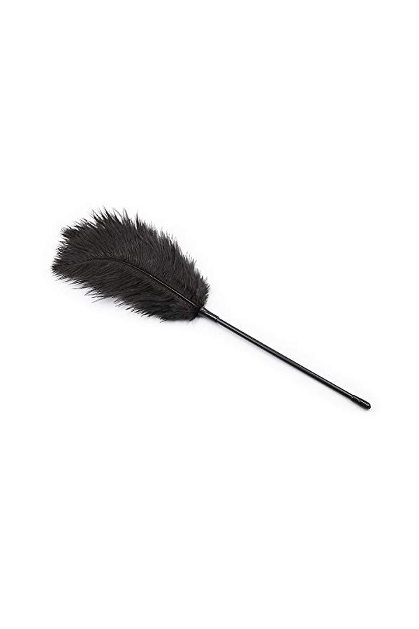 Articles pour adultes flirter avec la peau plumes jouets sexy articles dintérêt chatouiller plumes chatouiller