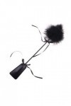 Sexy Feather clapping Feather stick Teaching PET clapping Adult couple flirting Toy Noir 