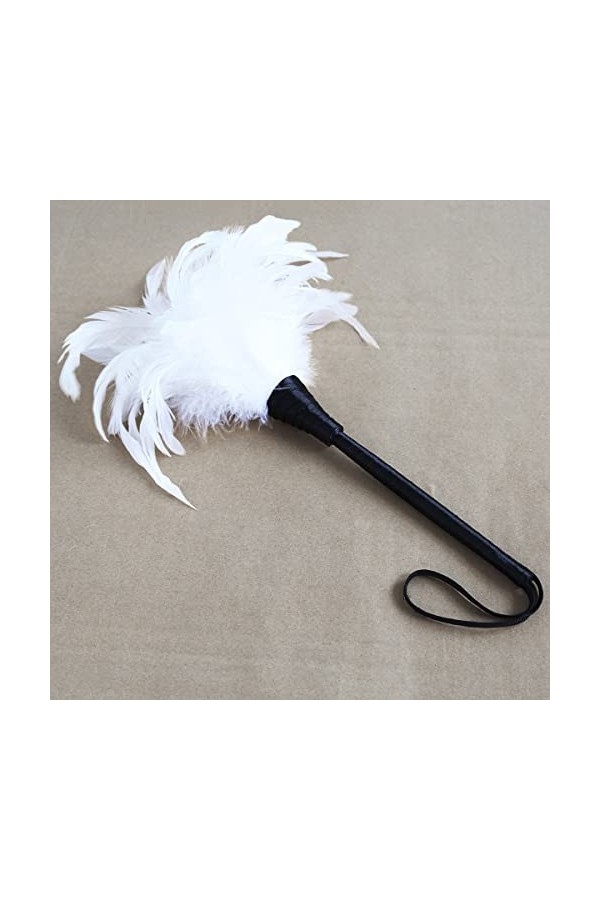 Drôle de pinceau à plumes noir pour adultes