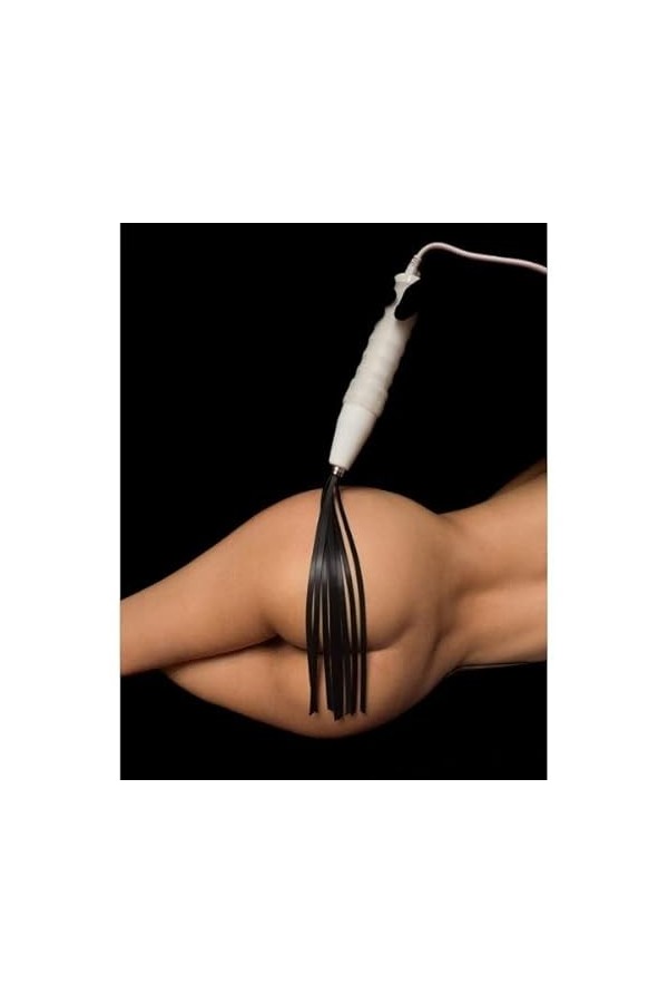 Électro Whip - Martinet Pour Neon Wand