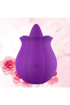 Vîbrømásseúrs Fẹmînin Clìtøridîén va et vient Sèxtôyse Couple Plaîsir Femme Portable,Vîbrô-másseúr Clîtôrîdien Súcëúr Fémînîn