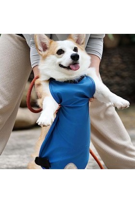 Enveloppement pour Le Chien - sous-vêtement pour Chiot mâle | Banélastique pour Chien mâle, urinoir réservé, Cuir Souple pour