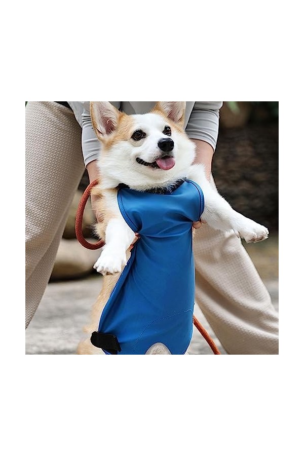 Enveloppement pour Le Chien - sous-vêtement pour Chiot mâle | Banélastique pour Chien mâle, urinoir réservé, Cuir Souple pour