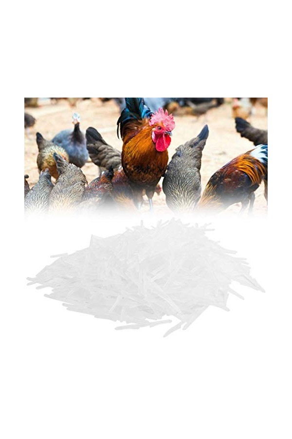 Jacksing Tige dobstruction de Nez de Coq, Professionnel en Plastique Inoffensif de de Nez de Coq pour Le Coq pour Le de coqs