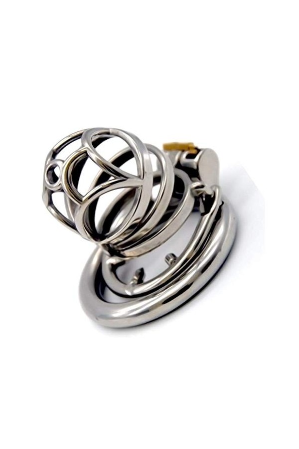 Roo-16HAO Cage de Verrouillage en Acier Inoxydable Respirante et Facile à Transporter pour quil ne puisse Pas séchapper 45