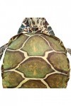 Wearable Tortue Shell Oreiller Salon Chambre Costume En Peluche Jouet En Peluche Costume pour Jeu de Rôle Dress Up, 100 CM