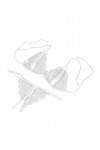 Ensemble Soutien Gorge et String Femme Erotique Lingerie Sexy Ensemble Dentelle Vêtements De Nuit Sexy sous-Vetements 2 Pièce