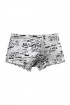 Beokeuioe Short pour homme - Sous-vêtements dété - Sous-vêtements pour homme - Boxer en modal respirant - Slips fins et doux