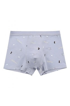 Sous-vêtements pour homme avec impression drôle - Sous-vêtements pour homme - Doux et respirant - Séchage rapide - Pantalon d