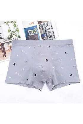 Sous-vêtements pour homme avec impression drôle - Sous-vêtements pour homme - Doux et respirant - Séchage rapide - Pantalon d