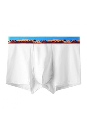 Boxer de sport en coton pour homme - Confortables - Sous-vêtements stretch - Pour homme, B blanc., XXL