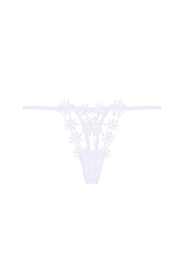 BIISDOST Culottes pour Dames Culottes en Dentelle Sexy Culottes Sexy Taille Basse Culottes Transparentes Creuses Ultra Minces