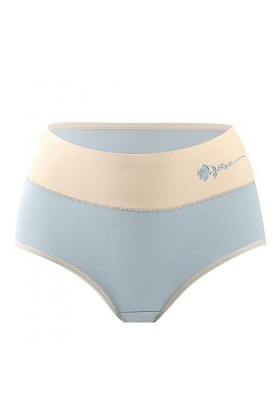 Culotte Femme Taille Haute Slips Elasticité Tangas rayés Taille Haute personnalisés No Show Tongs personnalisées Culottes Str