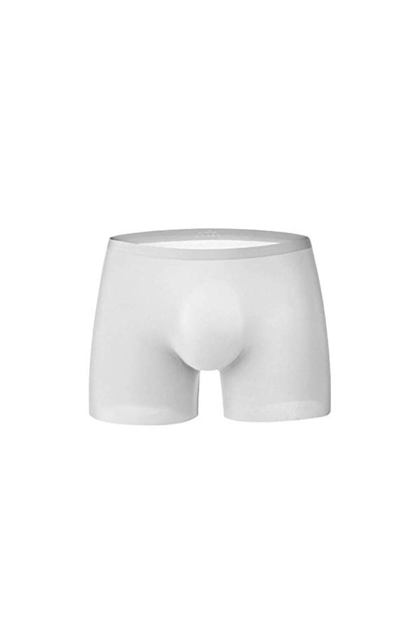 Lingerie Sexy Grande Taille Cher Slips sans Soudure 3D One Piece Briefs Respirants pour Hommes Ice Boxer Silk Culottes Linger