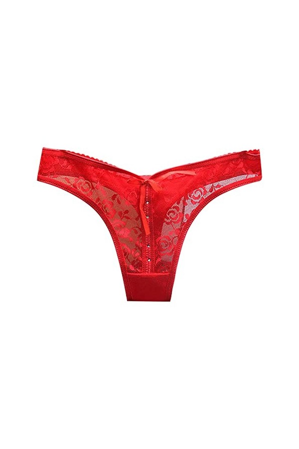 BIISDOST Femmes Sexy Taille Basse en Satin à Travers Une Culotte Transparente en Dentelle Creuse Body Jungle Red, One Size 