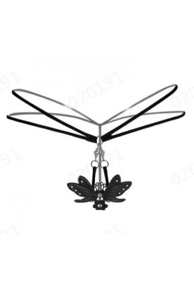 PANPANY Culottes pour Femme Culotte Soutien-Gorge Confortables Tanga Multicolore Dentelle Taille Basse Slips sans Couture Fem