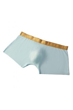 Lingerie Femme Sexy Ensemble Homme Sexy Hot y22k Pantalon de Glace en Soie pour Hommes sans Couture Boxer Respirant Confortab