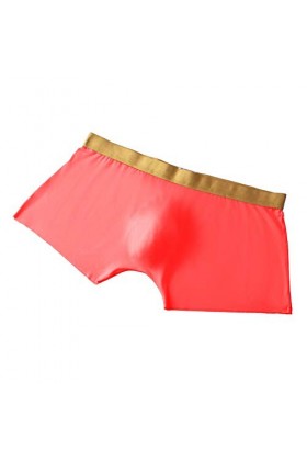 Lingerie Femme Sexy Ensemble Homme Sexy Hot y22k Pantalon de Glace en Soie pour Hommes sans Couture Boxer Respirant Confortab