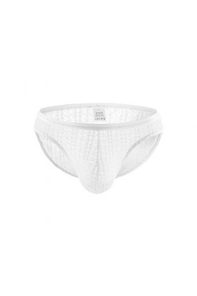Slip de Bikini Sexy pour Homme sous-vêtement Culotte en Dentelle Taille Basse Sexy Homme Noir Et Blanc White, M 