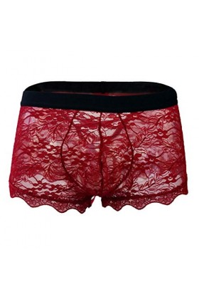 Générique Lingerie Homme Sexy Hot Boyshort sous-vêtements Bas Taille Transparente pour Hommes Dentelle Maillage Sexy pour Hom