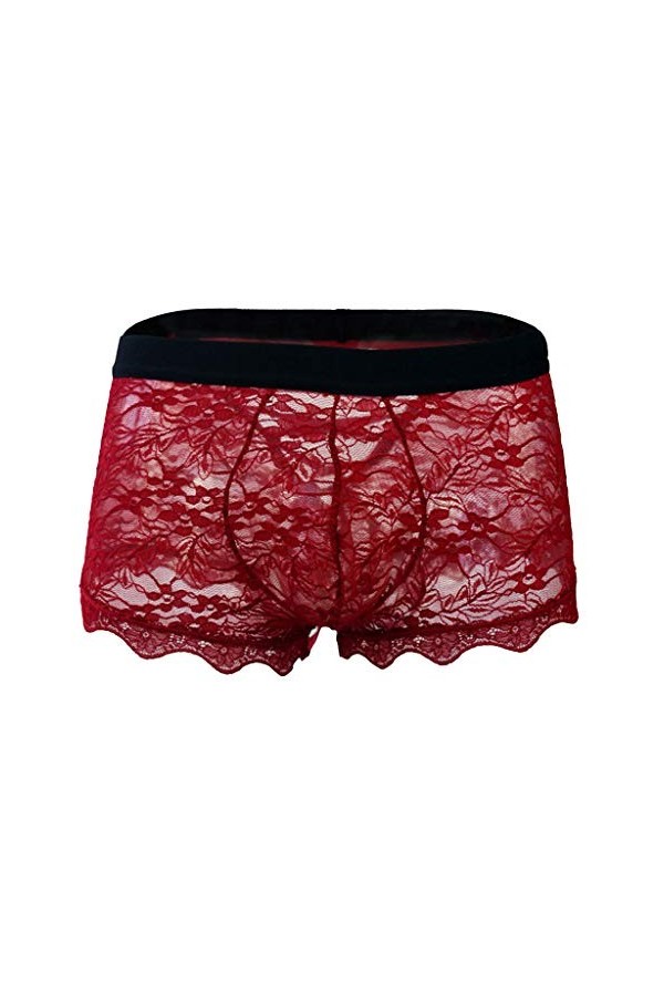 Générique Lingerie Homme Sexy Hot Boyshort sous-vêtements Bas Taille Transparente pour Hommes Dentelle Maillage Sexy pour Hom
