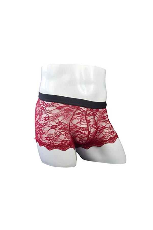 Générique Lingerie Homme Sexy Hot Boyshort sous-vêtements Bas Taille Transparente pour Hommes Dentelle Maillage Sexy pour Hom