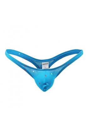 Junhasgood Hommes Sexy Slips Ultra-Thin Ice Silk with Low Weist Briefs sous-Vêtements Parfum Lingerie