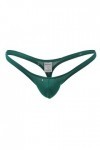 Junhasgood Hommes Sexy Slips Ultra-Thin Ice Silk with Low Weist Briefs sous-Vêtements Parfum Lingerie